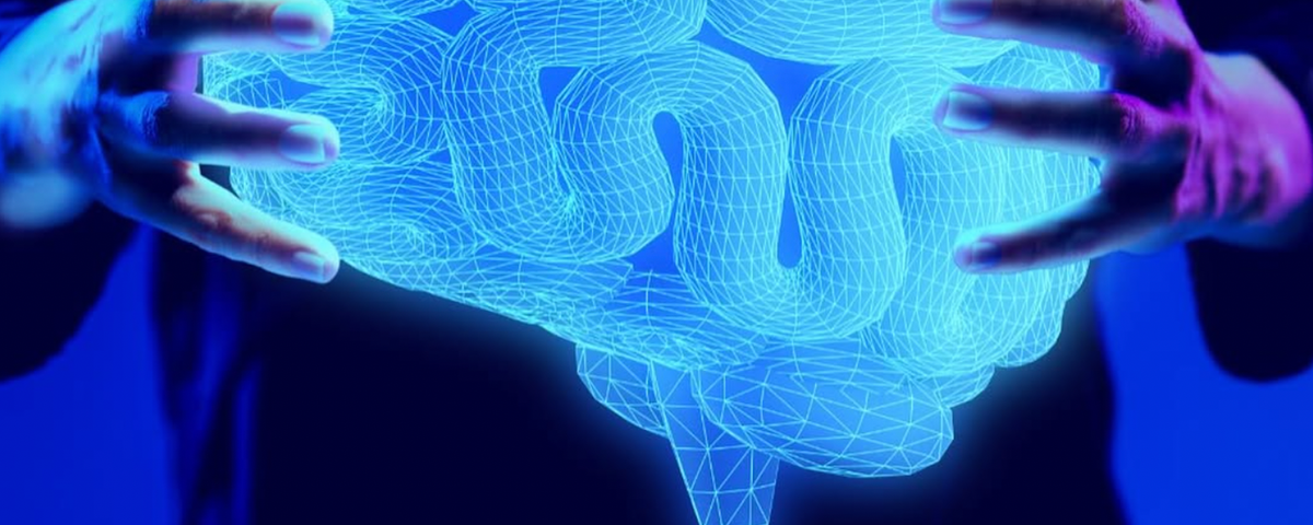 Salud cognitiva en la era digital: cómo los EMF afectan tu concentración, memoria y sueño