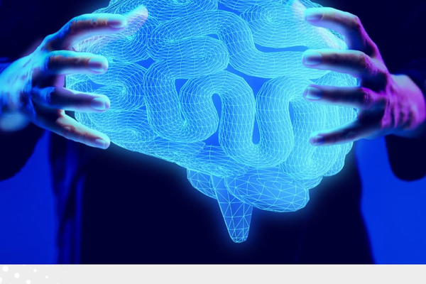 Salud cognitiva en la era digital: cómo los EMF afectan tu concentración, memoria y sueño